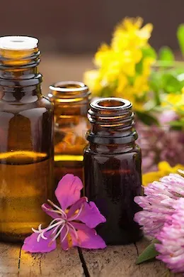 Coach 4 men - picture 1 of 6