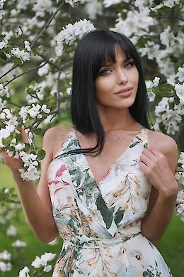 VETA - picture 1 of 5