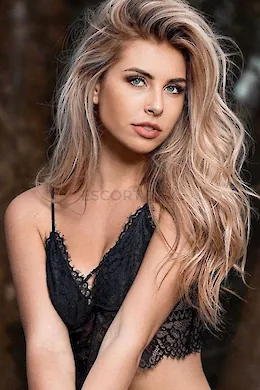 CAMELIA - picture 1 of 6