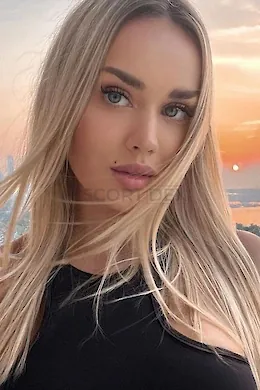 MAYO - picture 1 of 5