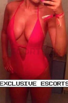 Clover - picture 1 of 3