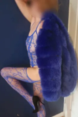 Darcy - picture 1 of 4