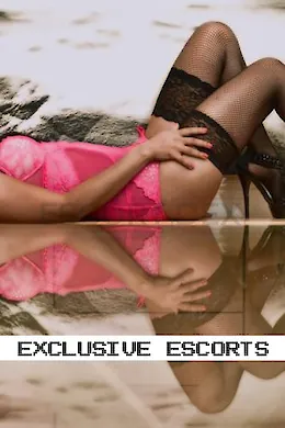 Roxy - picture 1 of 5