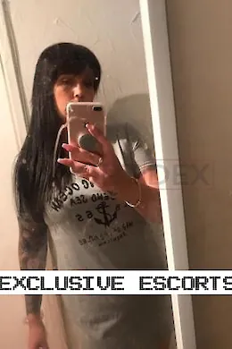 Taylor - picture 1 of 3