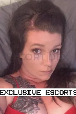 Taylor - picture 1 of 3