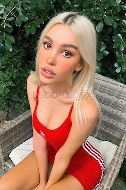 SCOTTIE - picture 1 of 6