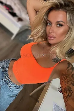 STEVIE - picture 1 of 6