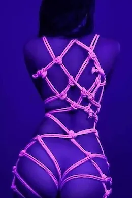 Bella - picture 1 of 4