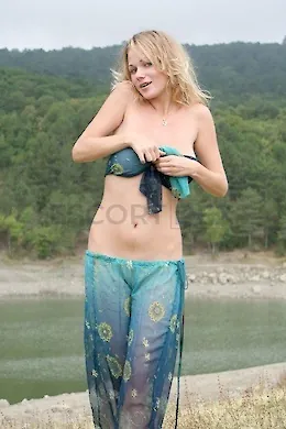 Pansy - picture 83 of 4