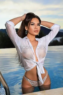 Paloma - picture 10 of 6