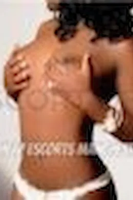 Bailley - picture 1 of 3