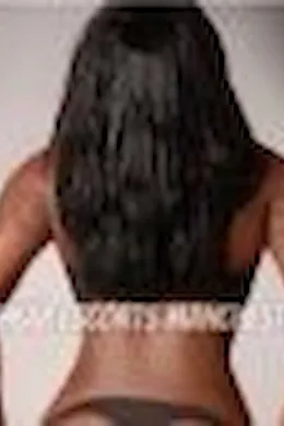 Bailley - picture 1 of 3