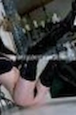 Dinna - picture 1 of 5