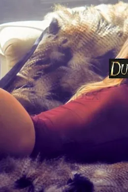 Olivia - picture 2 of 5