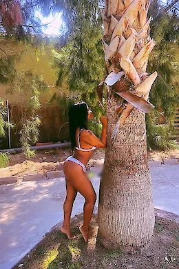 Cristal - picture 1568496390 of 6